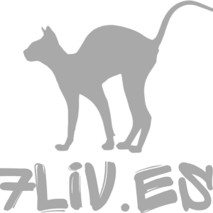 logo 7liv.es